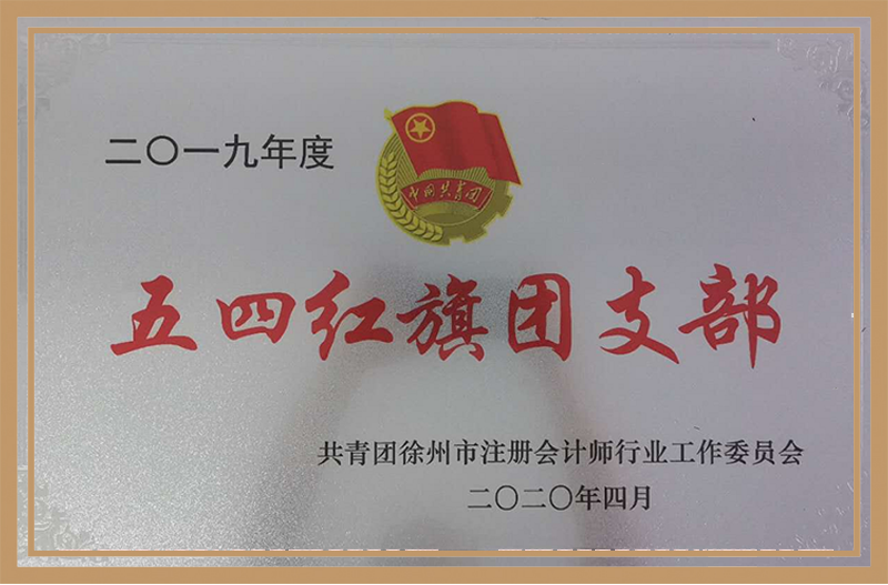 共青團徐州市注冊會計師行業2019年度“五四紅旗團支部”